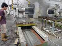 Irregular Strips Machine